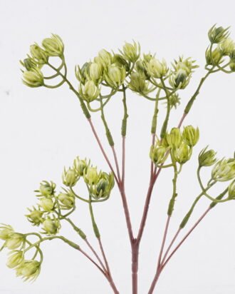 Artificial Flower 15*5*54cm Lingling Flower *12 single stem GS-59126010-G1 2026Aug 3,000+ sqm showroom with thousands of artificial flowers, plants & trees ready for global sourcing. Artificial Flower 15*5*54cm Lingling Flower *12 single stem GS-59126010-G1 2026Aug 3,000+ sqm showroom with thousands of artificial flowers, plants & trees ready for global sourcing.