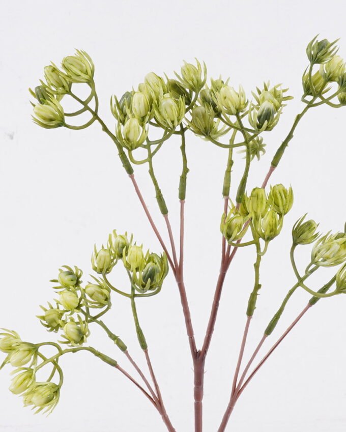 Artificial Flower Lingling Flower 12 single stem GS-59126010-G1_1 Artificial Flower 15*5*54cm Lingling Flower *12 single stem GS-59126010-G1 2026Aug 3,000+ sqm showroom with thousands of artificial flowers, plants & trees ready for global sourcing.