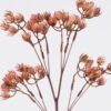 Artificial Flower Lingling Flower 12 single stem GS-59126010_2 Artificial Flower 15*5*54cm Lingling Flower *12 single stem GS-59126010 2026Aug 3,000+ sqm showroom with thousands of artificial flowers, plants & trees ready for global sourcing.