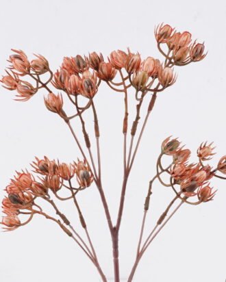 Artificial Flower 15*5*54cm Lingling Flower *12 single stem GS-59126010 2026Aug 3,000+ sqm showroom with thousands of artificial flowers, plants & trees ready for global sourcing. Artificial Flower 15*5*54cm Lingling Flower *12 single stem GS-59126010 2026Aug 3,000+ sqm showroom with thousands of artificial flowers, plants & trees ready for global sourcing.
