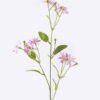 Artificial Flower Little willow aster single stem GS-26226002_2 Artificial Flower 12*7*66cm Little willow aster single stem GS-26226002 2026Jul 3,000+ sqm showroom with thousands of artificial flowers, plants & trees ready for global sourcing.