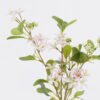 Artificial Flower Lotus flower in glass ware GS-16826009_2 Artificial Flower 17*11*46cm Lotus flower in glass ware GS-16826009 2026Jul 3,000+ sqm showroom with thousands of artificial flowers, plants & trees ready for global sourcing.