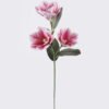 Artificial Flower Magnolia 3 single stem GS-64925039-P2 Artificial Flower 15*10*68cm Magnolia *3 single stem GS-64925039-P2 2026Aug 3,000+ sqm showroom with thousands of artificial flowers, plants & trees ready for global sourcing.