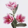 Artificial Flower Magnolia 3 single stem GS-64925039-P2_1 Artificial Flower 15*10*68cm Magnolia *3 single stem GS-64925039-P2 2026Aug 3,000+ sqm showroom with thousands of artificial flowers, plants & trees ready for global sourcing.