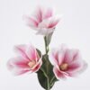 Artificial Flower Magnolia 3 single stem GS-64925039_2 Artificial Flower 15*10*68cm Magnolia *3 single stem GS-64925039 2026Aug 3,000+ sqm showroom with thousands of artificial flowers, plants & trees ready for global sourcing.