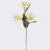 Artificial Flower Magnolia 3 single stem GS-64925039_5 Artificial Flower 15*10*68cm Magnolia *3 single stem GS-64925039 2026Aug 3,000+ sqm showroom with thousands of artificial flowers, plants & trees ready for global sourcing.