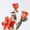 Artificial Flower Magnolia 3 single stem real touch GS-64925040-O1_1 Artificial Flower 24*13*82cm Magnolia *3 single stem/real touch GS-64925040-O1 2026Aug 3,000+ sqm showroom with thousands of artificial flowers, plants & trees ready for global sourcing.