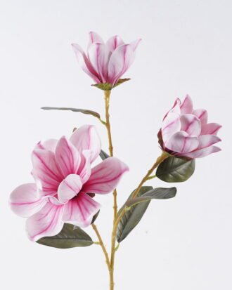 Artificial Flower 24*13*82cm Magnolia *3 single stem/real touch GS-64925040-P1 2026Aug 3,000+ sqm showroom with thousands of artificial flowers, plants & trees ready for global sourcing. Artificial Flower 24*13*82cm Magnolia *3 single stem/real touch GS-64925040-P1 2026Aug 3,000+ sqm showroom with thousands of artificial flowers, plants & trees ready for global sourcing.