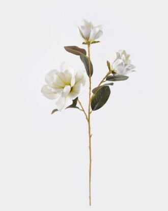 Artificial Flower 24*13*82cm Magnolia *3 single stem/real touch GS-64925040-W1 2026Aug 3,000+ sqm showroom with thousands of artificial flowers, plants & trees ready for global sourcing. Artificial Flower 24*13*82cm Magnolia *3 single stem/real touch GS-64925040-W1 2026Aug 3,000+ sqm showroom with thousands of artificial flowers, plants & trees ready for global sourcing.