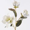 Artificial Flower Magnolia 3 single stem real touch GS-64925040-W1_1 Artificial Flower 24*13*82cm Magnolia *3 single stem/real touch GS-64925040-W1 2026Aug 3,000+ sqm showroom with thousands of artificial flowers, plants & trees ready for global sourcing.
