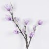 Artificial Flower Magnolia flower single stem GS-71226001-Z1_2 Artificial Flower 30*5*76cm Magnolia flower single stem GS-71226001-Z1 2026Aug 3,000+ sqm showroom with thousands of artificial flowers, plants & trees ready for global sourcing.