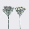 Artificial Flower 18*9*50cm Mao Dan Fruit *3 bundle GS-01126009 2026Jun 3,000+ sqm showroom with thousands of artificial flowers, plants & trees ready for global sourcing.