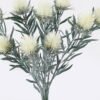 Artificial Flower 18*9*50cm Mao Dan Fruit *3 bundle GS-01126009 2026Jun 3,000+ sqm showroom with thousands of artificial flowers, plants & trees ready for global sourcing.