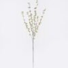Artificial Flower Milan fruit 6 single stem GS-29226002-G1 Artificial Flower 12*4*98cm Milan fruit *6 single stem GS-29226002-G1 2026Jul 3,000+ sqm showroom with thousands of artificial flowers, plants & trees ready for global sourcing.
