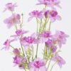 Artificial Flower Narcissu 3 bouquet GS-00526052-Z1_1 Artificial Flower 19*10*77cm Narcissu *3 bouquet GS-00526052-Z1 2026Jun 3,000+ sqm showroom with thousands of artificial flowers, plants & trees ready for global sourcing.