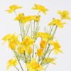 Artificial Flower Narcissu 3 bouquet GS-00526052_2 Artificial Flower 19*10*77cm Narcissu *3 bouquet GS-00526052 2026Jun 3,000+ sqm showroom with thousands of artificial flowers, plants & trees ready for global sourcing.