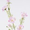 Artificial Flower Oleander single stem GS-00526039_2 Artificial Flower 13*6*79cm Oleander single stem GS-00526039 2026Jun 3,000+ sqm showroom with thousands of artificial flowers, plants & trees ready for global sourcing.