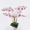 Artificial Flower Orchid in PP pot GS-03325151RP-P2 Artificial Flower 55*55*80cm Orchid in PP pot GS-03325151RP-P2 2026Jun 3,000+ sqm showroom with thousands of artificial flowers, plants & trees ready for global sourcing.