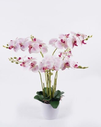 Artificial Flower 55*55*80cm Orchid in PP pot GS-03325151RP-P2 2026Jun 3,000+ sqm showroom with thousands of artificial flowers, plants & trees ready for global sourcing. Artificial Flower 55*55*80cm Orchid in PP pot GS-03325151RP-P2 2026Jun 3,000+ sqm showroom with thousands of artificial flowers, plants & trees ready for global sourcing.