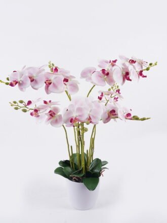 Artificial Flower 20*10*79cm  Carnation *5 bouquet GS-00526045-Z1 2026Jun 3,000+ sqm showroom with thousands of artificial flowers, plants & trees ready for global sourcing.