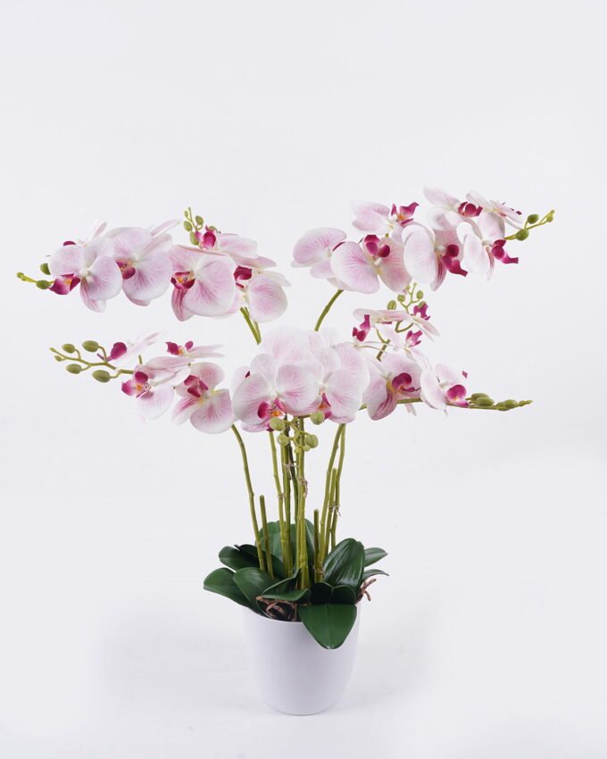 Artificial Flower 55*55*80cm Orchid in PP pot GS-03325151RP-P2 2026Jun 3,000+ sqm showroom with thousands of artificial flowers, plants & trees ready for global sourcing.
