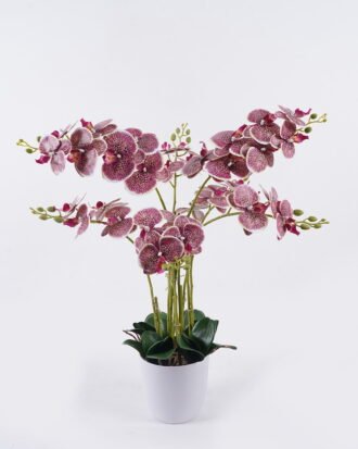 Artificial Flower 55*55*80cm Orchid in PP pot GS-03325151RP-R1 2026Jun 3,000+ sqm showroom with thousands of artificial flowers, plants & trees ready for global sourcing. Artificial Flower 55*55*80cm Orchid in PP pot GS-03325151RP-R1 2026Jun 3,000+ sqm showroom with thousands of artificial flowers, plants & trees ready for global sourcing.