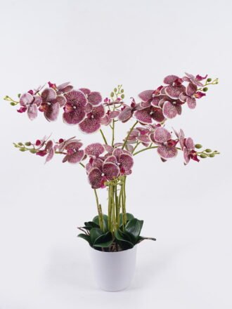 Artificial Flower 55*55*80cm Orchid in PP pot GS-03325151RP-W1 2026Jun 3,000+ sqm showroom with thousands of artificial flowers, plants & trees ready for global sourcing.
