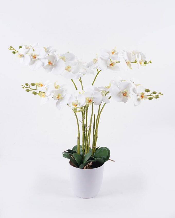 Artificial Flower 55*55*80cm Orchid in PP pot GS-03325151RP-W1 2026Jun 3,000+ sqm showroom with thousands of artificial flowers, plants & trees ready for global sourcing.