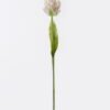 Artificial Flower Parrot tulip single stem real touch GS-68626007-P1 Artificial Flower 10*6*61cm Parrot tulip single stem/real touch GS-68626007-P1 2026Aug 3,000+ sqm showroom with thousands of artificial flowers, plants & trees ready for global sourcing.