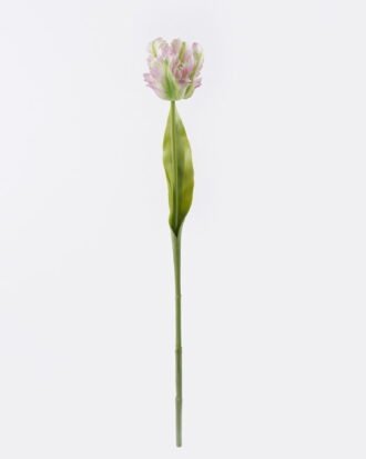 Artificial Flower 10*6*61cm Parrot tulip single stem/real touch GS-68626007-P1 2026Aug 3,000+ sqm showroom with thousands of artificial flowers, plants & trees ready for global sourcing. Artificial Flower 10*6*61cm Parrot tulip single stem/real touch GS-68626007-P1 2026Aug 3,000+ sqm showroom with thousands of artificial flowers, plants & trees ready for global sourcing.