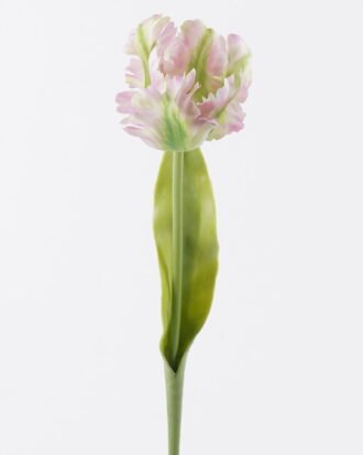 Artificial Flower 10*6*61cm Parrot tulip single stem/real touch GS-68626007-P1 2026Aug 3,000+ sqm showroom with thousands of artificial flowers, plants & trees ready for global sourcing. Artificial Flower 10*6*61cm Parrot tulip single stem/real touch GS-68626007-P1 2026Aug 3,000+ sqm showroom with thousands of artificial flowers, plants & trees ready for global sourcing.