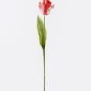 Artificial Flower Parrot tulip single stem real touch GS-68626007-R1 Artificial Flower 10*6*61cm Parrot tulip single stem/real touch GS-68626007-R1 2026Aug 3,000+ sqm showroom with thousands of artificial flowers, plants & trees ready for global sourcing.