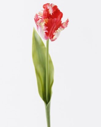 Artificial Flower 10*6*61cm Parrot tulip single stem/real touch GS-68626007-R1 2026Aug 3,000+ sqm showroom with thousands of artificial flowers, plants & trees ready for global sourcing. Artificial Flower 10*6*61cm Parrot tulip single stem/real touch GS-68626007-R1 2026Aug 3,000+ sqm showroom with thousands of artificial flowers, plants & trees ready for global sourcing.