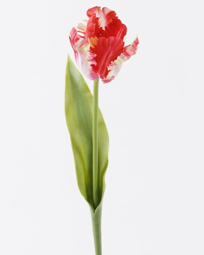 Artificial Flower Parrot tulip single stem real touch GS-68626007-R1_2 Artificial Flower 10*6*61cm Parrot tulip single stem/real touch GS-68626007-R1 2026Aug 3,000+ sqm showroom with thousands of artificial flowers, plants & trees ready for global sourcing.