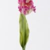 Artificial Flower Parrot tulip single stem real touch GS-68626007_2 Artificial Flower 10*6*61cm Parrot tulip single stem/real touch GS-68626007 2026Aug 3,000+ sqm showroom with thousands of artificial flowers, plants & trees ready for global sourcing.