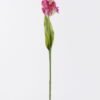 Artificial Flower Parrot tulip single stem real touch GS-68626007_3 Artificial Flower 10*6*61cm Parrot tulip single stem/real touch GS-68626007 2026Aug 3,000+ sqm showroom with thousands of artificial flowers, plants & trees ready for global sourcing.