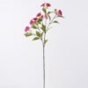 Artificial Flower Paulownia flowers 5 single stem GS-77526001_6 Artificial Flower 25*10*79cm Paulownia flowers *5 single stem GS-77526001 2026Aug 3,000+ sqm showroom with thousands of artificial flowers, plants & trees ready for global sourcing.