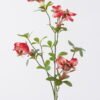 Artificial Flower Pea blossom single stem GS-84426003-R2_2 Artificial Flower 19*8*85cm Pea blossom single stem GS-84426003-R2 2026SEP 3,000+ sqm showroom with thousands of artificial flowers, plants & trees ready for global sourcing.