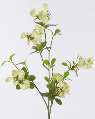 Artificial Flower 19*8*85cm Pea blossom single stem GS-84426003 2026SEP 3,000+ sqm showroom with thousands of artificial flowers, plants & trees ready for global sourcing. Artificial Flower 19*8*85cm Pea blossom single stem GS-84426003 2026SEP 3,000+ sqm showroom with thousands of artificial flowers, plants & trees ready for global sourcing.