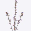 Artificial Flower Peach blossom 3 single stem GS-83726004-Z1_2 Artificial Flower 10*4*89cm Peach blossom *3 single stem GS-83726004-Z1 2026SEP 3,000+ sqm showroom with thousands of artificial flowers, plants & trees ready for global sourcing.