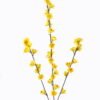 Artificial Flower Peach blossom 3 single stem GS-83726004_2 Artificial Flower 10*4*89cm Peach blossom *3 single stem GS-83726004 2026SEP 3,000+ sqm showroom with thousands of artificial flowers, plants & trees ready for global sourcing.