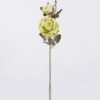 Artificial Flower Peony 2 single stem GS-84526004_4 Artificial Flower 13*9*73cm Peony *2 single stem GS-84526004 2026SEP 3,000+ sqm showroom with thousands of artificial flowers, plants & trees ready for global sourcing.