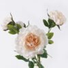Artificial Flower 22*13*68cm Peony *4 single stem/moist real touch GS-35026005 2026Jul 3,000+ sqm showroom with thousands of artificial flowers, plants & trees ready for global sourcing.
