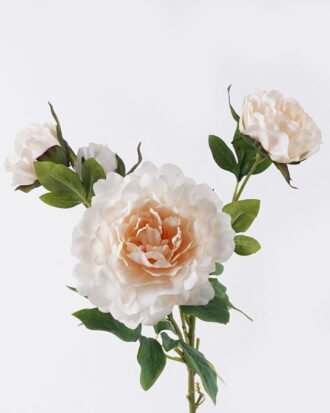 Artificial Flower 22*13*68cm Peony *4 single stem/moist real touch GS-35026005 2026Jul 3,000+ sqm showroom with thousands of artificial flowers, plants & trees ready for global sourcing. Artificial Flower 22*13*68cm Peony *4 single stem/moist real touch GS-35026005 2026Jul 3,000+ sqm showroom with thousands of artificial flowers, plants & trees ready for global sourcing.