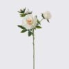 Artificial Flower 22*13*68cm Peony *4 single stem/moist real touch GS-35026005 2026Jul 3,000+ sqm showroom with thousands of artificial flowers, plants & trees ready for global sourcing.