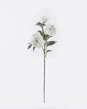 Artificial Flower 24*11*90cm Peony Anti-UV *3 single stem GS-15426034-UV-W1 2026Jun 3,000+ sqm showroom with thousands of artificial flowers, plants & trees ready for global sourcing. Artificial Flower 24*11*90cm Peony Anti-UV *3 single stem GS-15426034-UV-W1 2026Jun 3,000+ sqm showroom with thousands of artificial flowers, plants & trees ready for global sourcing.