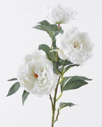 Artificial Flower 24*11*90cm Peony Anti-UV *3 single stem GS-15426034-UV-W1 2026Jun 3,000+ sqm showroom with thousands of artificial flowers, plants & trees ready for global sourcing. Artificial Flower 24*11*90cm Peony Anti-UV *3 single stem GS-15426034-UV-W1 2026Jun 3,000+ sqm showroom with thousands of artificial flowers, plants & trees ready for global sourcing.
