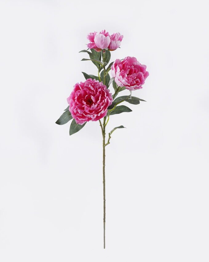 Artificial Flower Peony Anti-UV 3 single stem GS-15426034-UV_5 Artificial Flower 24*11*90cm Peony Anti-UV *3 single stem GS-15426034-UV 2026Jun 3,000+ sqm showroom with thousands of artificial flowers, plants & trees ready for global sourcing.