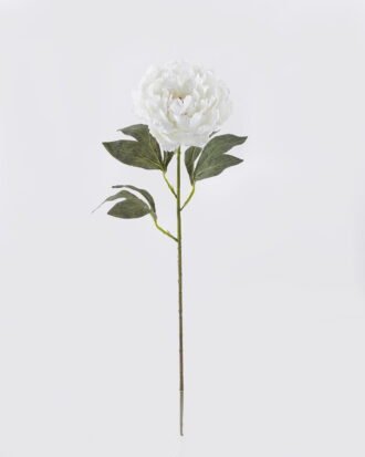 Artificial Flower 13*9*68cm Peony Anti-UV single stem GS-15426033-UV-W1 2026Jun 3,000+ sqm showroom with thousands of artificial flowers, plants & trees ready for global sourcing. Artificial Flower 13*9*68cm Peony Anti-UV single stem GS-15426033-UV-W1 2026Jun 3,000+ sqm showroom with thousands of artificial flowers, plants & trees ready for global sourcing.