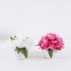 Artificial Flower 20*20*18cm Peony in Ceramic pot GS-06926003 2026Jun 3,000+ sqm showroom with thousands of artificial flowers, plants & trees ready for global sourcing.